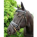 Bridle And Browbands